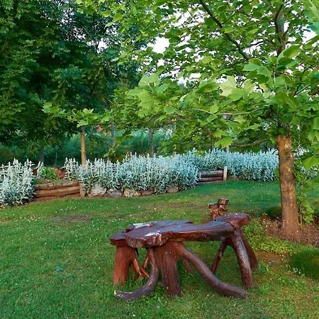 Holiday home Vila Raj, Planina Ozren - Soko Banja