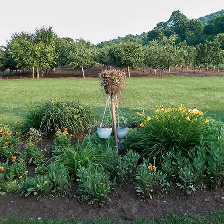 Vila Raj, Planina Ozren -