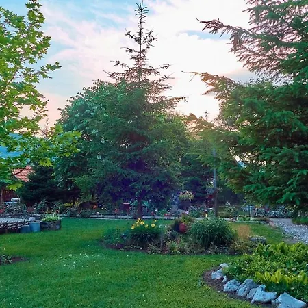 Holiday home Vila Raj, Planina Ozren - Soko Banja