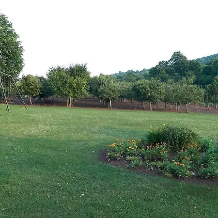 Vila Raj, Planina Ozren - Holiday home Soko Banja