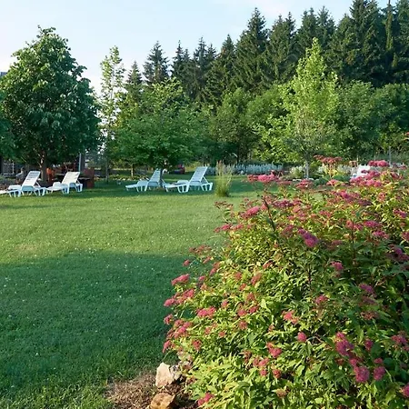 Holiday home Vila Raj, Planina Ozren - Soko Banja