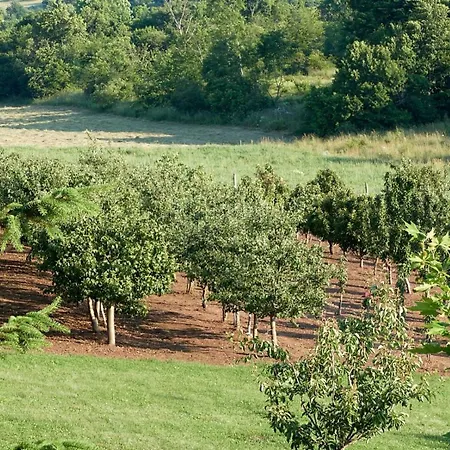Vila Raj, Planina Ozren - Holiday home